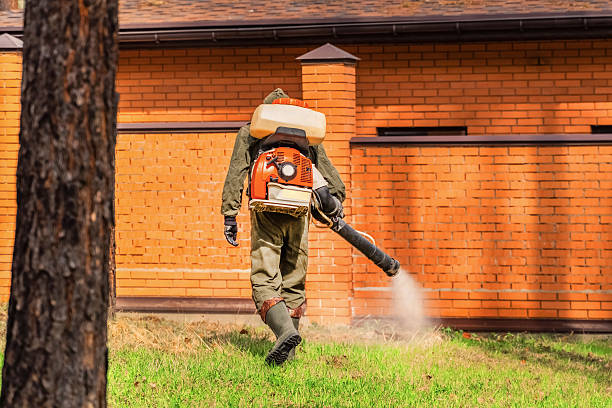 Bed Bug Clearance Verification and Documentation in Eastlawn Gardens
